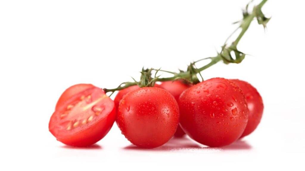 Você vai se surpreender com o que dá pra cultivar num pote de iogurte