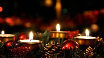 O xodó do Natal 2025 é feito de papelão e enche a casa de charme