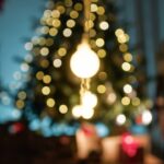 A planta mais resistente e colorida do inverno está ganhando os lares