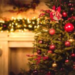 Minha casa pode ficou mais leve e festiva com essas plantas natalinas que são tendência