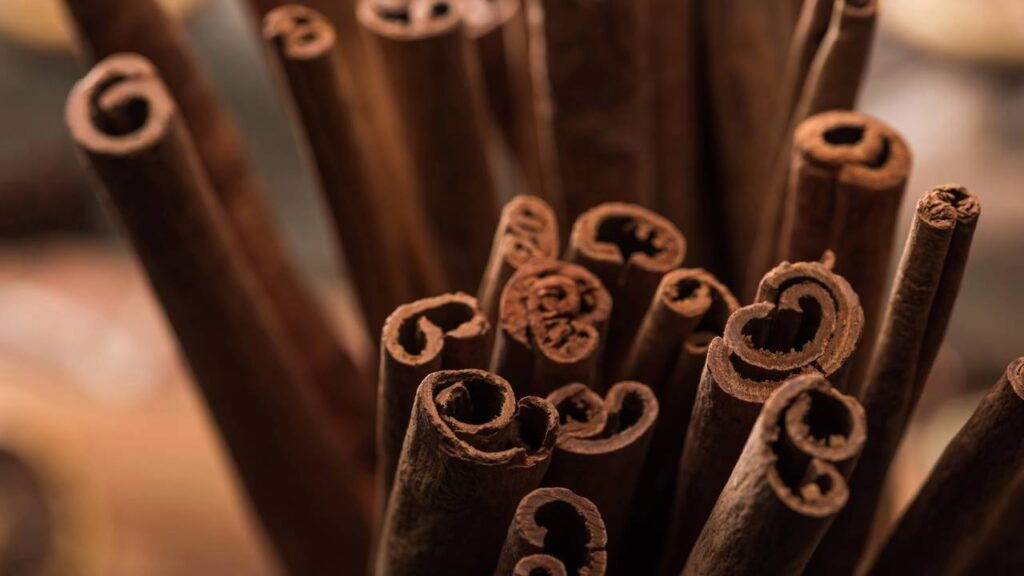 A receita mais poderosa para deixar sua casa cheirosa e livre de insetos