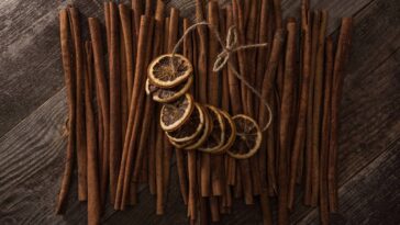 A receita mais poderosa para deixar sua casa cheirosa e livre de insetos