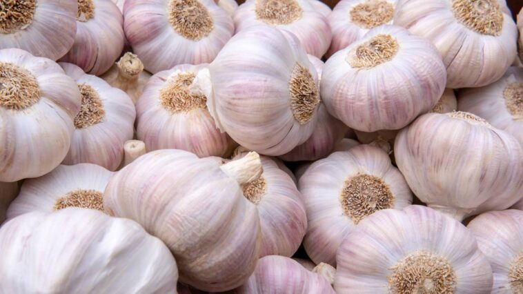 A mistura caseira mais eficiente para limpar e proteger suas plantas