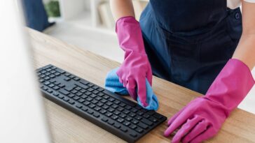 A mistura caseira mais eficiente para limpar e proteger suas plantas