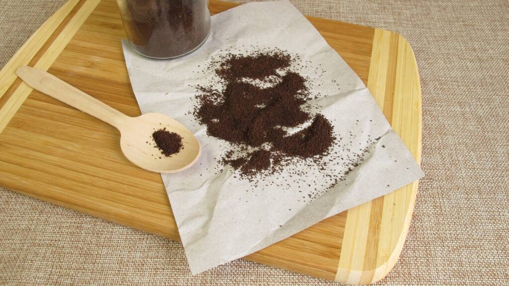 Café nas plantas, o truque simples que transforma seu cultivo em casa