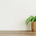 Cachepô de crochê para plantas com suporte de parede moderno e prático