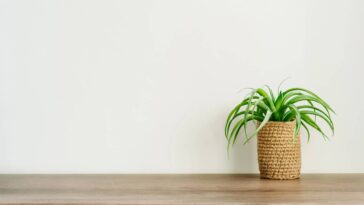 Cachepô de crochê para plantas com suporte de parede moderno e prático