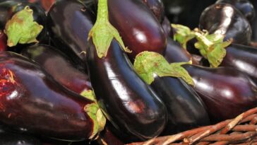 O truque caseiro mais eficaz para manter a berinjela firme e brilhante