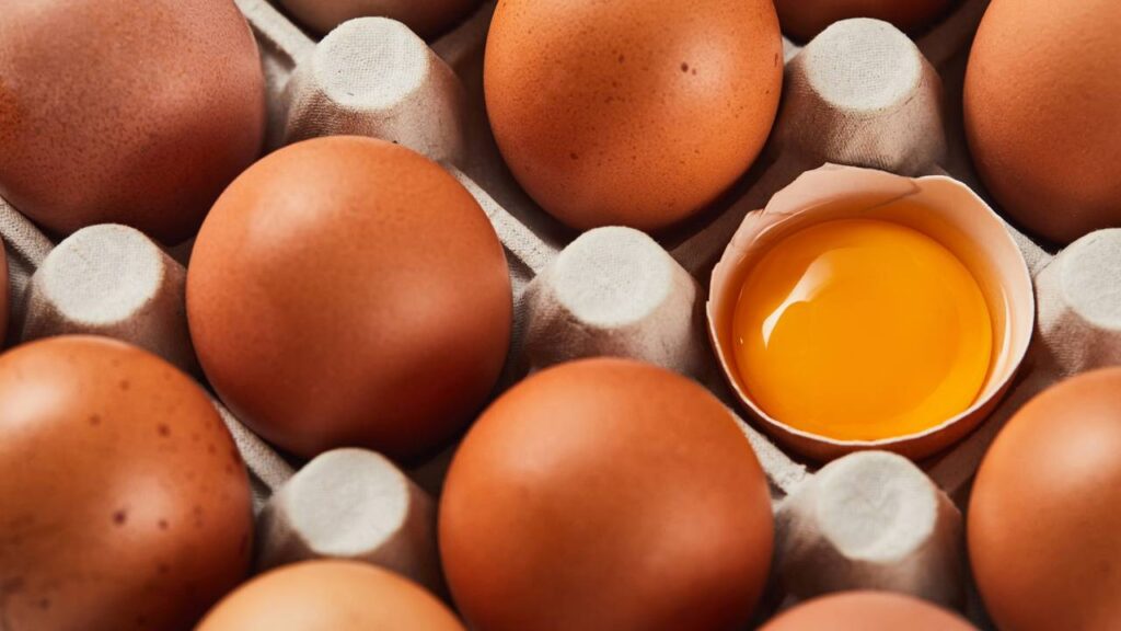 O segredo para conservar ovos com segurança e praticidade no dia a dia