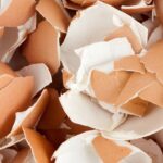 Você nunca mais vai jogar casca de ovo fora depois de ver essa dica inusitada