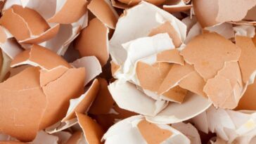 Você nunca mais vai jogar casca de ovo fora depois de ver essa dica inusitada