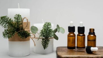 Ferver eucalipto com canela virou o novo truque das casas perfumadas