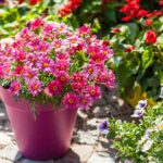 Flores - Créditos: depositphotos.com / brebca