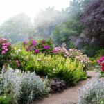 Com poucas plantas certas, seu jardim pode mudar completamente em poucos meses