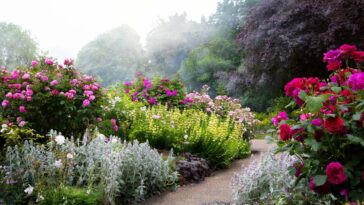 Com poucas plantas certas, seu jardim pode mudar completamente em poucos meses