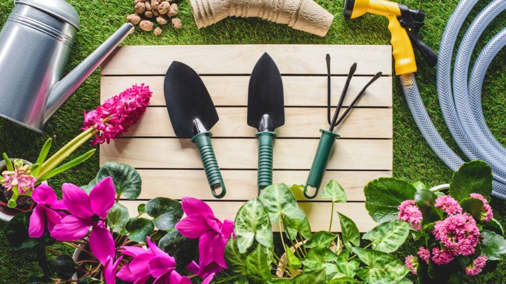 Com poucas plantas certas, seu jardim pode mudar completamente em poucos meses