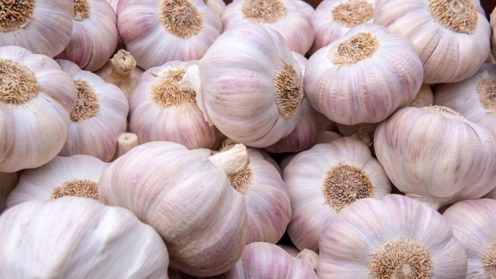 Diga adeus ao alho mofado, conserve com vinagre e nunca mais jogue fora