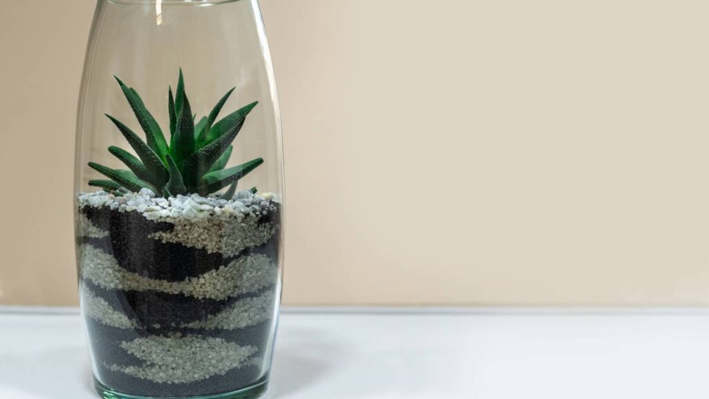 A nova tendência que está transformando potes de vidro em decoração