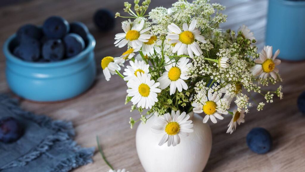 Esse truque com ervas e frutas vai mudar o cheiro da sua casa para sempre