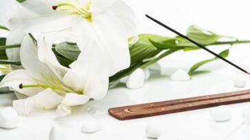 Esse truque com ervas e frutas vai mudar o cheiro da sua casa para sempre