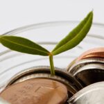 O ritual de prosperidade mais comentado de 2025 já chegou aos lares