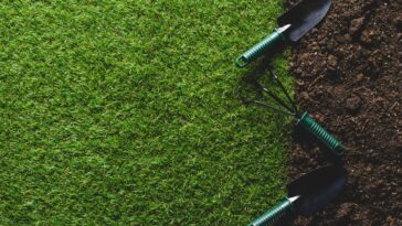 Essa combinação de ervas no jardim está virando tendência para proteção da casa