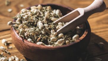 Ferva pétalas de jasmim com açúcar e transforme o aroma da sua casa