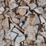 O truque barato com ladrilhos que está salvando plantas em casa