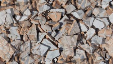 O truque barato com ladrilhos que está salvando plantas em casa