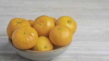 Coloque casca de laranja e sal grosso nesse ponto da casa e veja o efeito