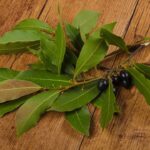 O costume da minha vó que voltou com tudo para proteger lares em 2025