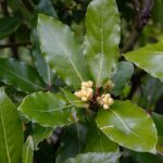 Esse ingrediente comum está protegendo a comida de milhões de lares