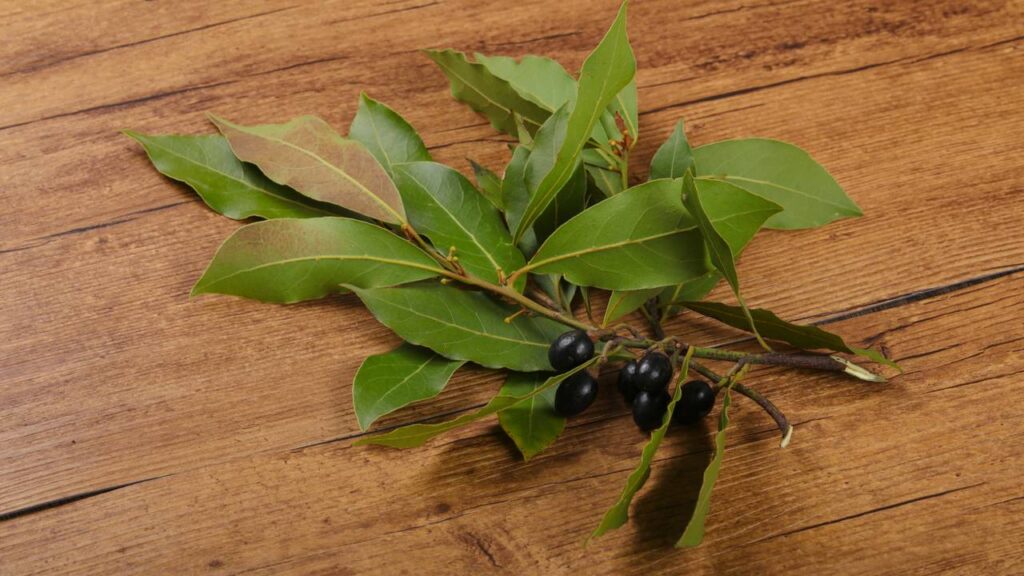 Esse ingrediente comum está protegendo a comida de milhões de lares