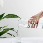 Cada vez mais casas estão usando essa planta contra mofo e ar seco