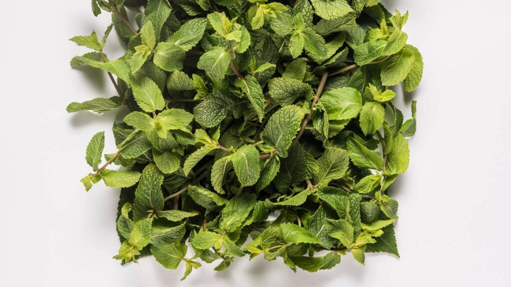 Essa mistura no mate está surpreendendo até os mais tradicionais