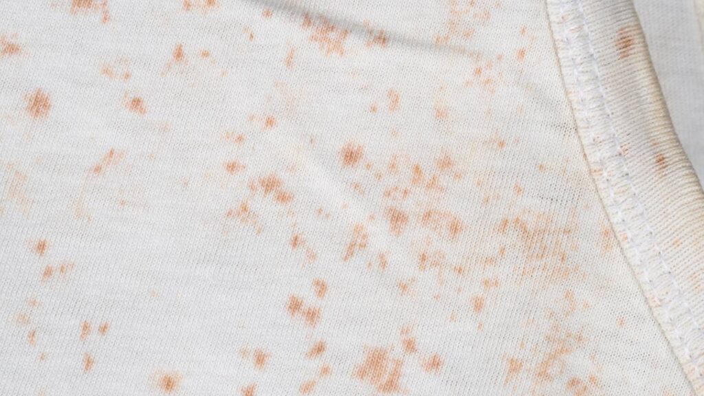 Aprenda como eliminar o cheiro de mofo dos armários com uma mistura caseira simples