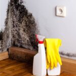 A melhor receita caseira para tirar mofo e cheiro de umidade das paredes