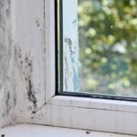 Como fiz para tirar o mofo da minha casa para sempre com ingredientes baratos