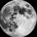 O que plantar em cada fase da lua, um guia prático para jardineiros