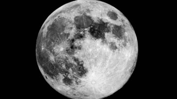 O que plantar em cada fase da lua, um guia prático para jardineiros