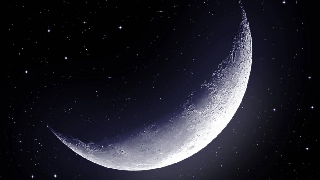 O que plantar em cada fase da lua, um guia prático para jardineiros