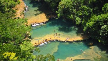 O segredo por trás da piscina que não usa cloro e deixa tudo mais bonito