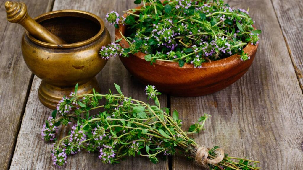 Essa mistura simples está conquistando quem ama casa cheirosa