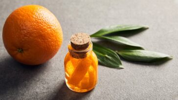 Essa receita simples está ganhando espaço nas casas mais elegantes do Brasil