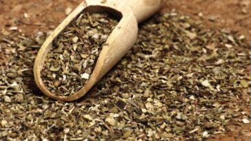 Coloquei isso no ralo e senti o cheiro da minha casa mudar na hora