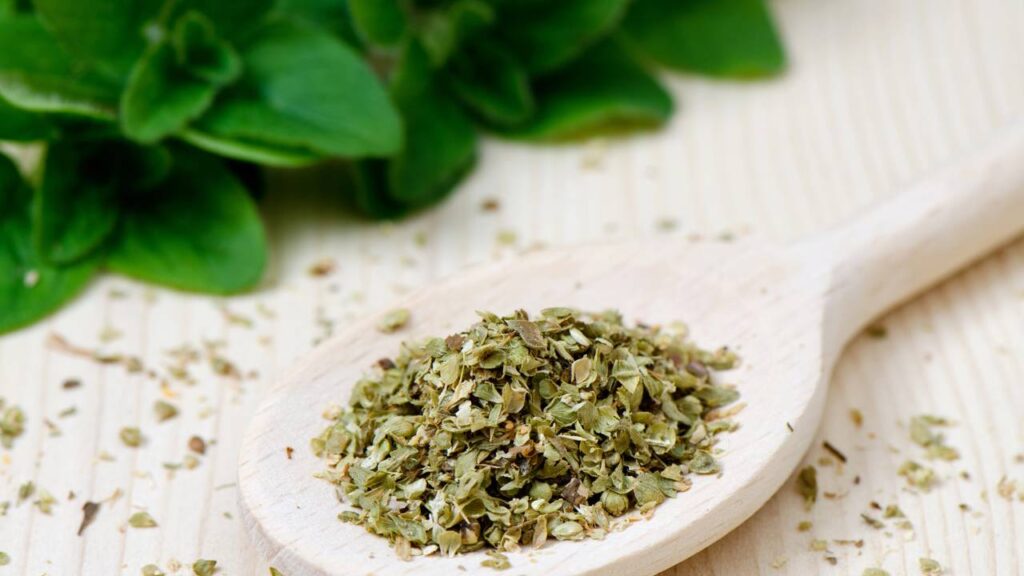 Coloquei isso no ralo e senti o cheiro da minha casa mudar na hora