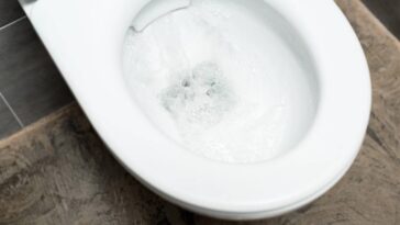 Essa técnica simples com vinagre e papel toalha que deixou meu vaso sanitário como novo