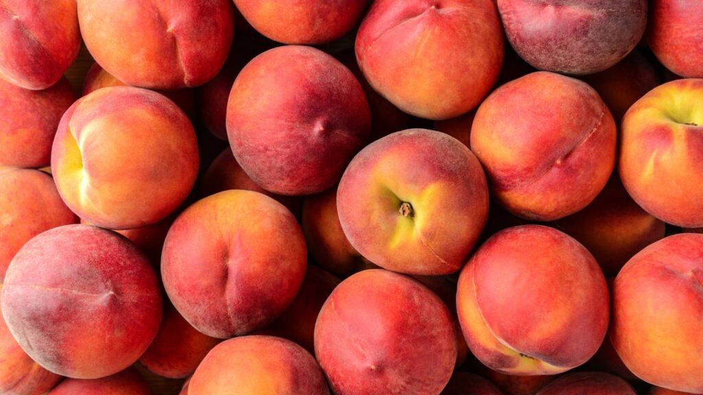 Os 5 passos simples para cultivar pessegueiro do caroço até o fruto