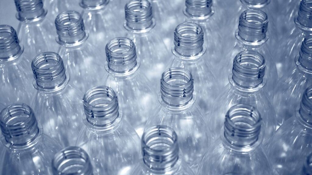 Coloquei tampinhas de garrafa no pé das plantas e o resultado me surpreendeu