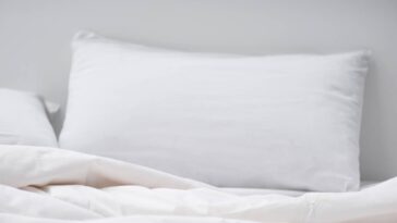 Coloquei uma pena embaixo do meu travesseiro e tive uma noite de sono reveladora